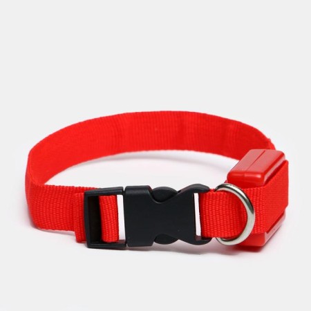 The collar luminous narrow for small dogs, 26 x 1.5 cm, red-1