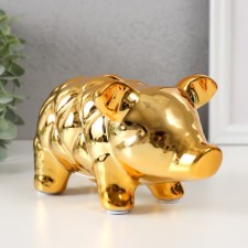 Pig a piggy bank Ceramics 