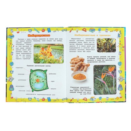 A big gift to schoolchildren. Koshevar D.V., Nikitenko I.Yu.-5
