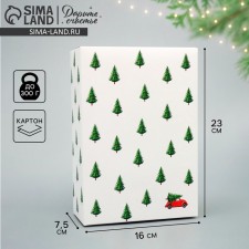 Folding box 