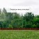 Decorative fence, 24 × 100 cm, 10 sections, plastic, brown, "logs"