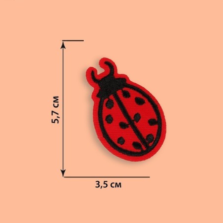 Thermal appliance "God's ladybug", 5.7 × 3.5 cm, red color-1
