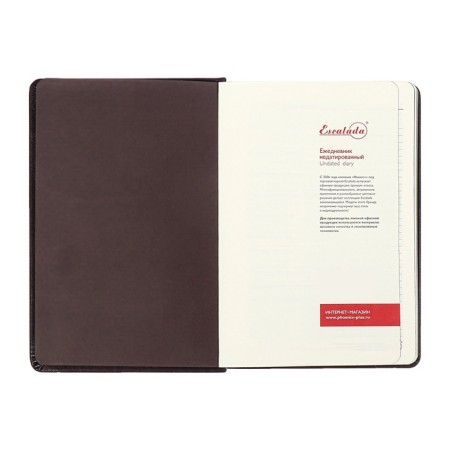 Diary Nedtir A5 160l Escalada, TV Region, Light claim, Las, tone BL 70g/m2, brown-8