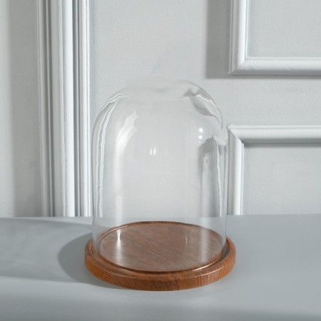 Glass dome -slosh on a wooden stand "Vincent - 1", 20x15 cm, brown