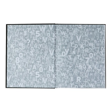 Universal Diary Grade 1-11, 48 raccoon sheets, solid cover, foil embossing, glossy lamination, universal cheat sheet, block 65 g/m2-3