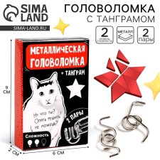 Metal puzzle 
