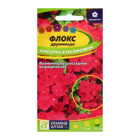 Flox seeds "Beauty in Raspberry", 0.1 gr.