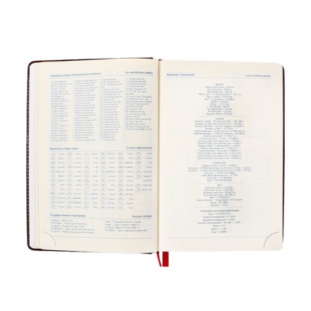 Dated diary of 2025, A5, 168 sheets in the ruler, leatherette "Nebraska", gold cut, burgundy-9