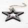 New Year's suspension "Silver Star"