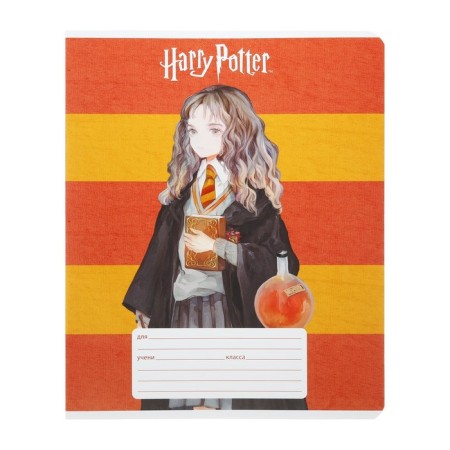 Notebook of 12 sheets in the Harry Potter line, covered cardboard, an offset block 65g/m2, 5v mix-5