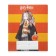 Notebook of 12 sheets in the Harry Potter line, covered cardboard, an offset block 65g/m2, 5v mix