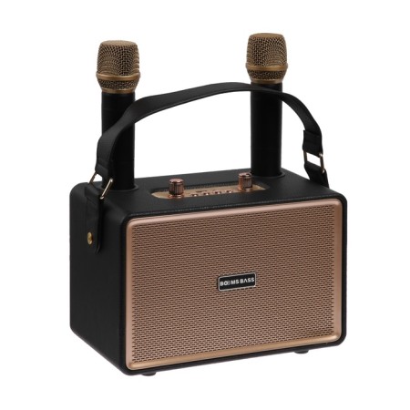Portable karaoke system M4202+, 25 W, 3600 mAh. 2 microphone, black