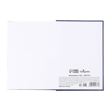 Dated diary of 2025, A5, 168 sheets, boumvinyl, blue-8