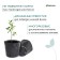 Pot for seedlings, re, __ l, d = 26 × 22 cm, (packaging 10 pcs.) Greengo