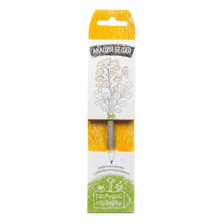 Growing gift gift pencils "White acacia" 1 pc.-1
