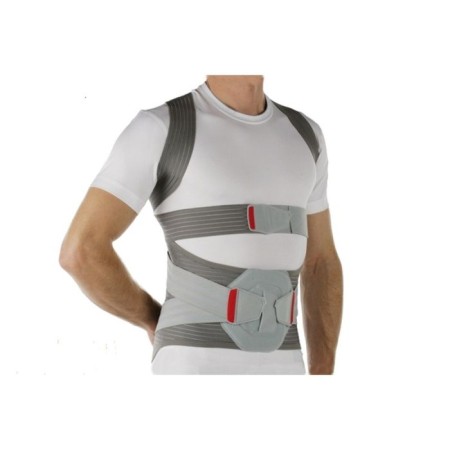 ORTAZ Luminer Dorso Direxa Posture art.50r59 r.l, 50r59