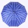 Umbrella - a semiautomatic “cage” cane, 10 spokes, r = 60 cm, color mix