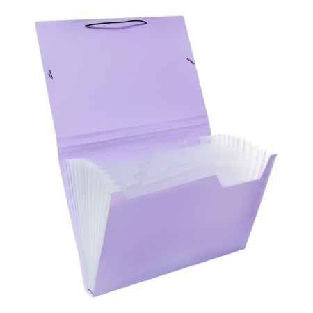 Folder Carder Calligrata watercolor 13 department. A4 plastic 0.7mm lavender, black resident-2