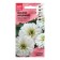 Zinnia Flowers "Zakhara White", 5 pcs