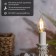 Lamp Filament candle in the wind CN37 7.5W 600LM 2700K E14 Transparent REXANT