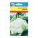 Seeds Cabbage Caule "Sierra", 0.05 g