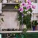 Support for orchids, h = 44 cm, plastic, purple, mix