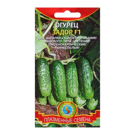 Seeds Cucumber Zador F1