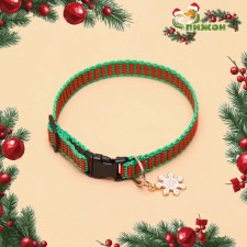 Collar + New Year's suspension 