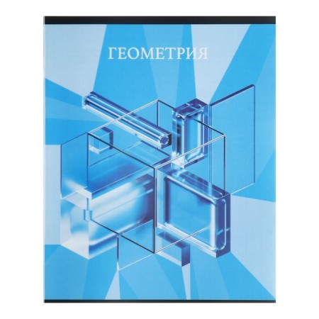Subject notebook Calligrata Top "School style", 48 sheets in a geometry cage, reference material, plastic cover, offset unit