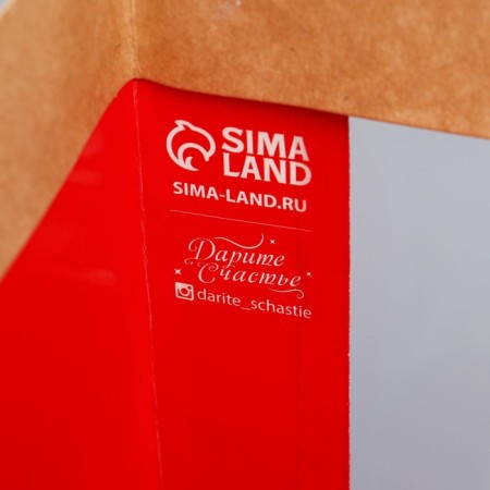 New Year's Craft gift package with a plastic window "Happiness", 31 x 26 x 11 cm, New Year-6