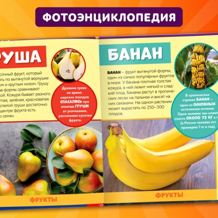 Photoencyclopedia for children "World around us", 48 p.-2