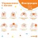 Developing massage ball "Montstrika", diameter 6 cm, orange color, crumb I