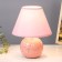 E14 40W Pink 20x20x25 cm Risalux