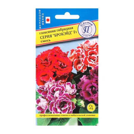 Gloxinia flowers "Brockied", F1, 5 pcs.-1