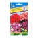 Gloxinia flowers "Brockied", F1, 5 pcs.