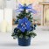 Christmas tree decor "New Year's delight" 20 cm d of the lower tier 12 cm, with snow blue