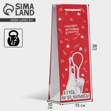 Gift package for a bottle, packaging, “goose”, 36 x 13 x 10 cm