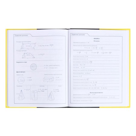 Universal diary for grades 5-11 Black & Yellow, solid cover, glossy lamination, 48 sheets-11
