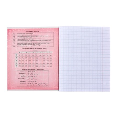 Substantial notebook Calligrata Superneeon, 48 sheets in the algebra cage, with reference material, covered cardboard, OFSET block-3