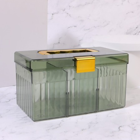 Organizer for storing cosmetic supplies "Light", a chest with a lid, removable partitions, 21.5 × 12 × 12 cm, color mix-5