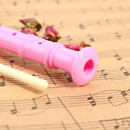 Music Life Blockflate, Pink, German System, Soprano, 30 cm-2
