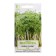 Seeds on the microwave "Kors-Salat", mix, 5 g