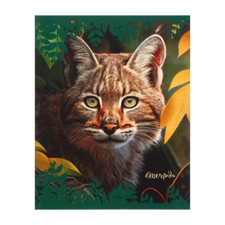 Notebook of 48 sheets in the cage "Wild nature", cover coated cardboard, block No. 2 (gray sheets), mix-3