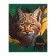 Notebook of 48 sheets in the cage "Wild nature", cover coated cardboard, block No. 2 (gray sheets), mix