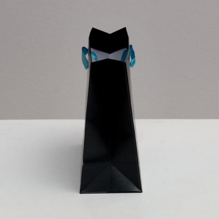 Gift Laminated Horizontal Package, Packaging, Present for You, 22 x 17.5 x 8 cm-3