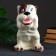 Piggy bank "Rex" 29cm