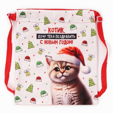 Children's bag "Kit in a hat", 35 × 30 cm, New Year's-2