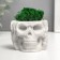 Kashpo concrete "Skull Silence" with moss 6.5x10 cm white (moss green stabilized)