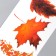 Tattoo on the body color "leaves" mix 10.5x6 cm