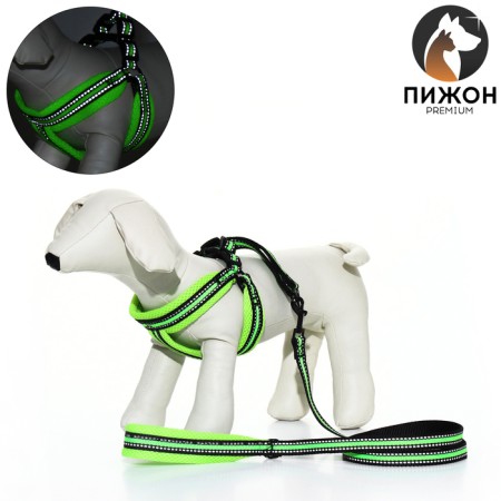 The ammunition set is soft, reflective, leash 120 x 1.5 cm, Osh 35-53 cm, yellow